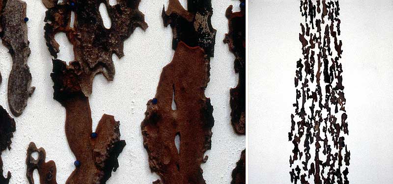 left: detail - pine bark, map pins right: full view, ca. 70 x 20 inches